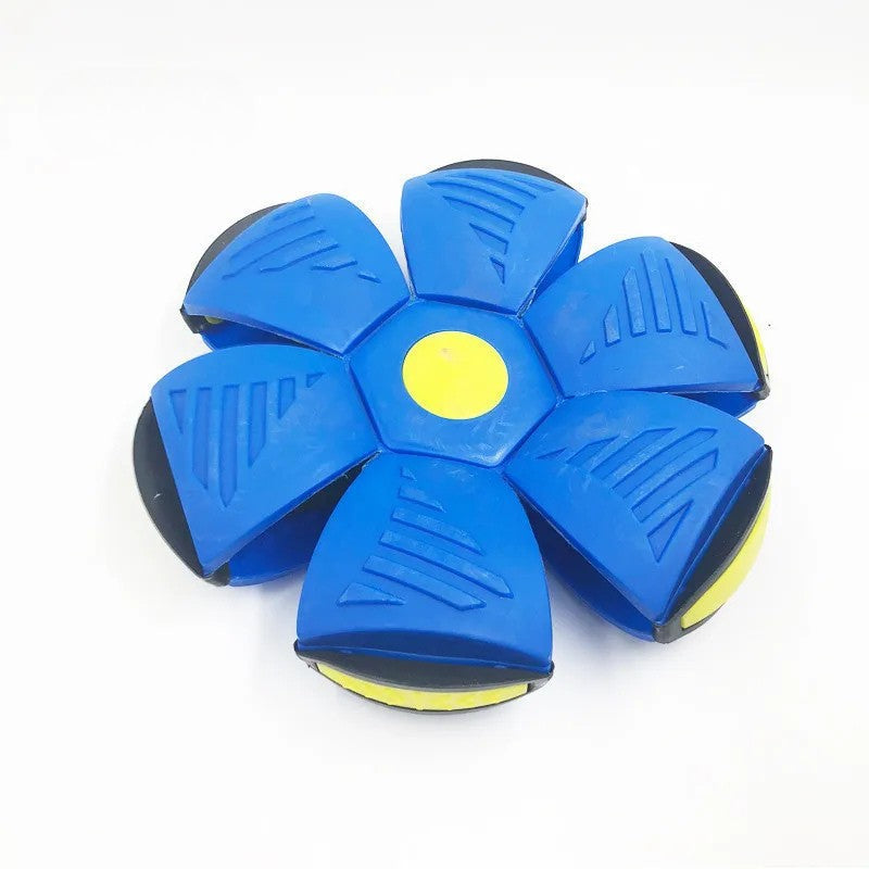 Bola Mágica Brinquedo Interativo para Cachorro