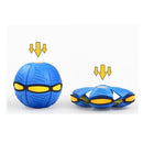 Bola Mágica Brinquedo Interativo para Cachorro