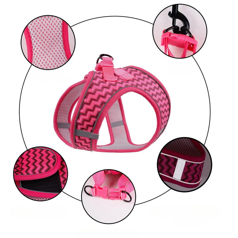 Cinta Peitoral com Guia Confortável