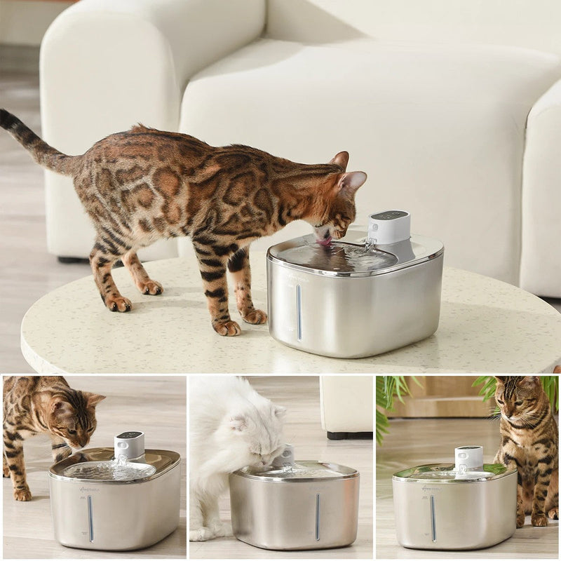 Fonte de Água Automática de Aço Inoxidável para Gatos
