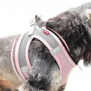 Coleira Peitoral Ajustável para Gato