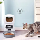 Alimentador Automático Inteligente