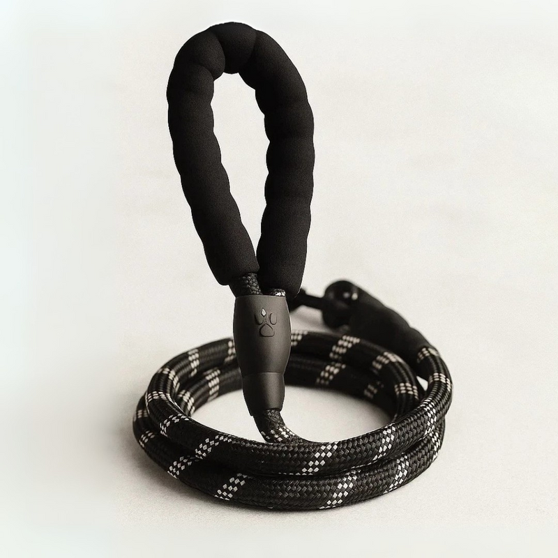 Guia Reforçada Corda Firme para Coleira