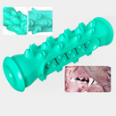 Mordedor Brinquedo para Higiene Bucal