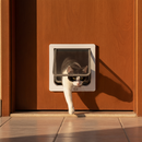 PortalReal™ - Porta de Gato para Passagem