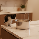 Essencial Pro™ - Fonte de Gato Bebedouro Automático 1,8L