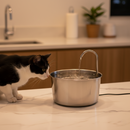 Essencial Pro™ - Fonte de Gato Bebedouro Automático 1,8L