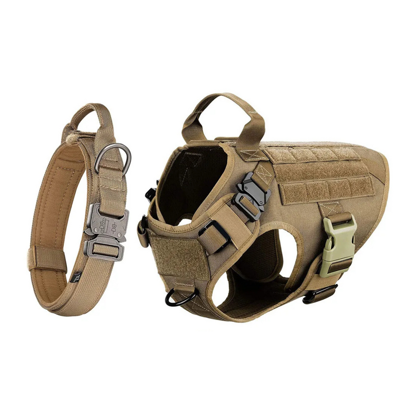 Kit Tático para Cachorro de Caça Colete Militar