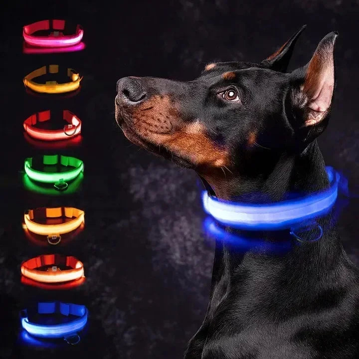 Coleira de LED Brilhante Visão Noturna para Cachorro
