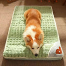 Cama para Cachorro - Confortplus™