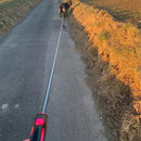 Guia Retrátil para Cães