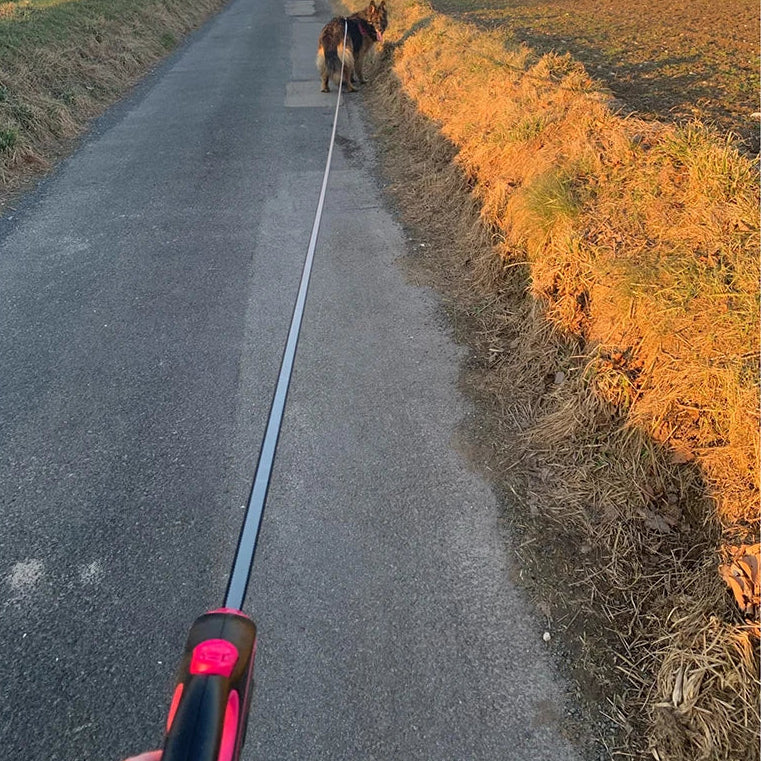 Guia Retrátil para Cães