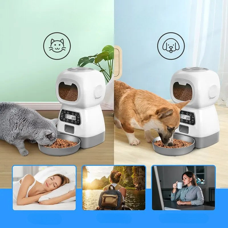 Alimentador Automático Inteligente